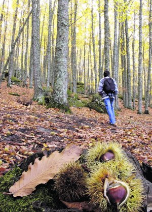 ESPAÑA-CASTILLA Y LEON-CASTAÑAR-EL TIEMBLO