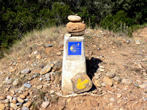 camino-santiago-camino-cerca