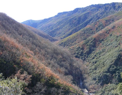 2009_0915las_melonas0057