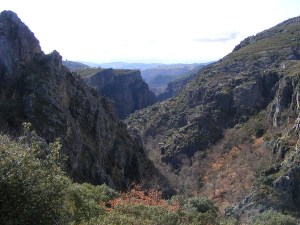 2009_0915las_melonas0024