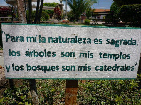 proteger los bosques