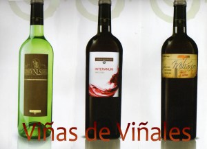 botellas de vinos