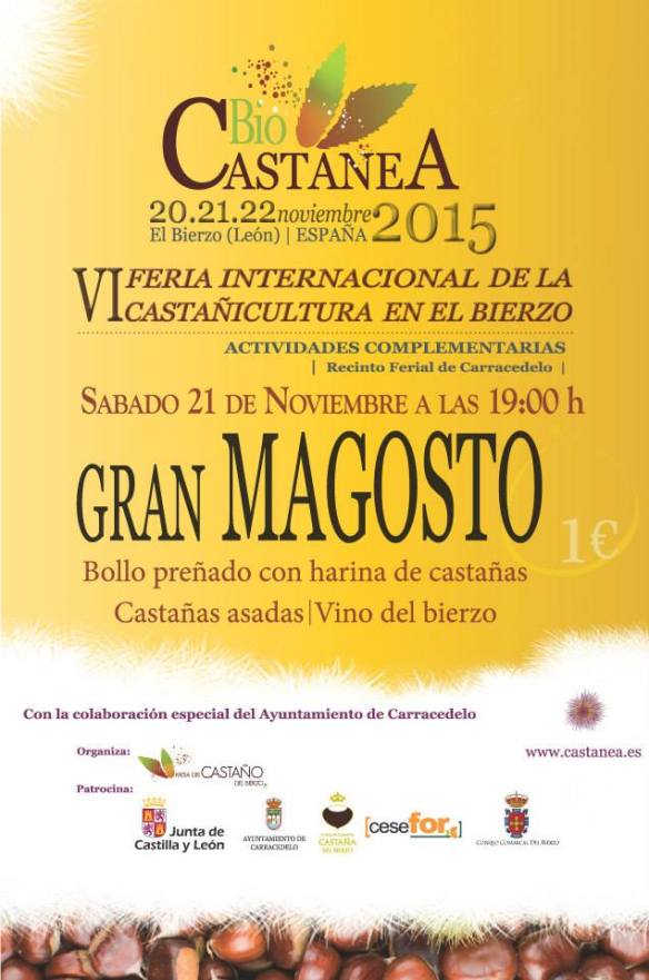 magosto biocastanea