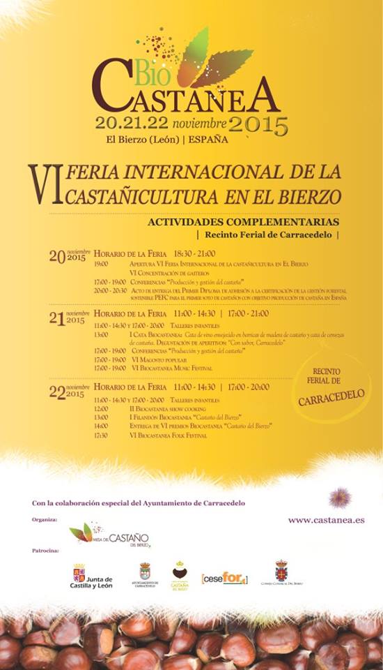 programa feria biocastanea